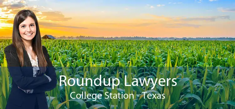 Roundup Lawyers College Station - Texas