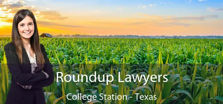 Roundup Lawyers College Station - Texas