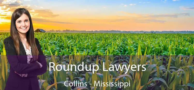 Roundup Lawyers Collins - Mississippi