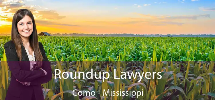 Roundup Lawyers Como - Mississippi