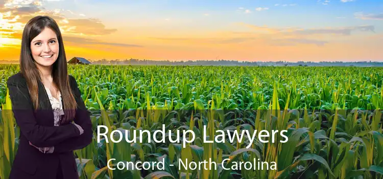 Roundup Lawyers Concord - North Carolina