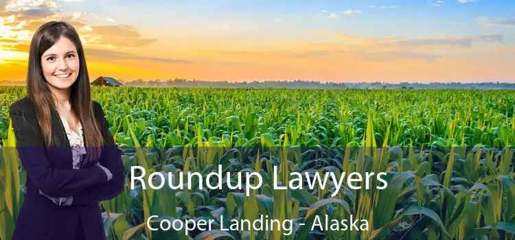 Roundup Lawyers Cooper Landing - Alaska