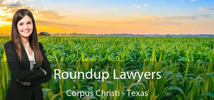 Roundup Lawyers Corpus Christi - Texas