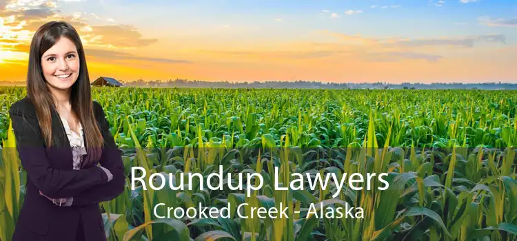 Roundup Lawyers Crooked Creek - Alaska