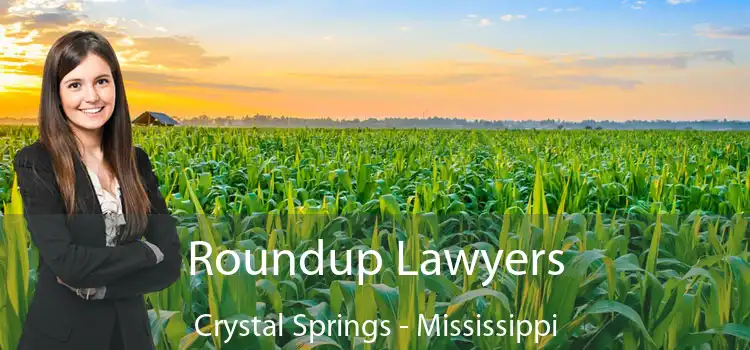 Roundup Lawyers Crystal Springs - Mississippi