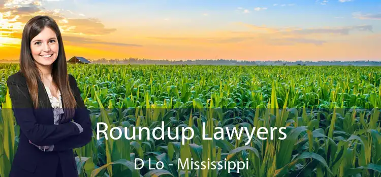 Roundup Lawyers D Lo - Mississippi