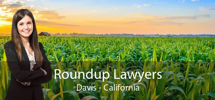 Roundup Lawyers Davis - California