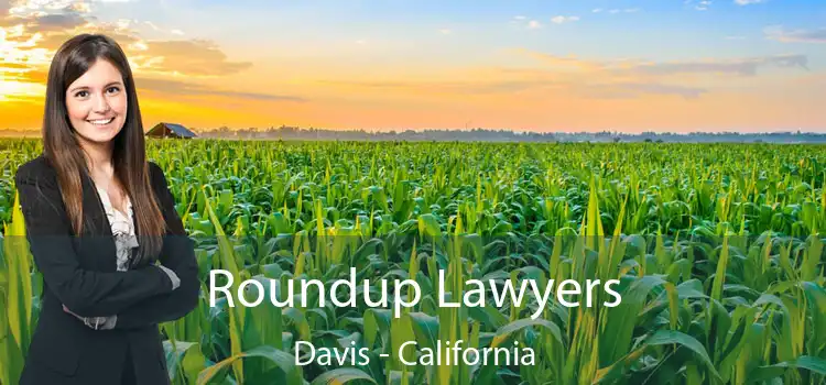 Roundup Lawyers Davis - California