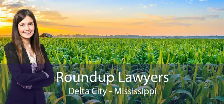 Roundup Lawyers Delta City - Mississippi