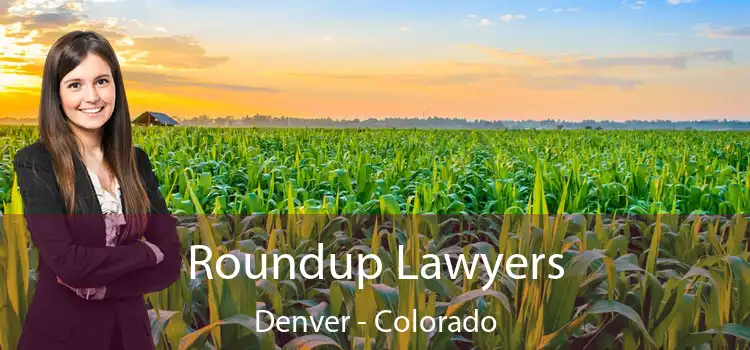 Roundup Lawyers Denver - Colorado