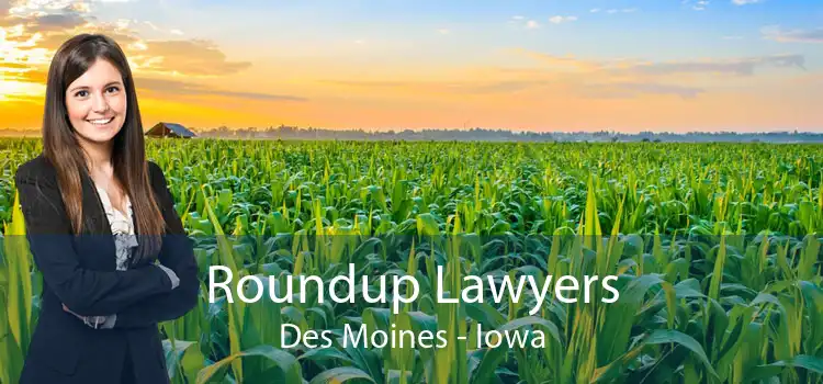 Roundup Lawyers Des Moines - Iowa
