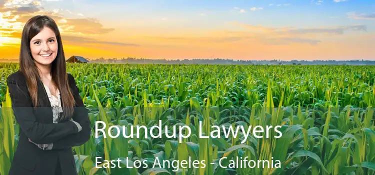 Roundup Lawyers East Los Angeles - California