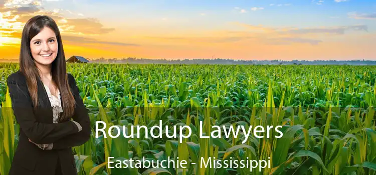 Roundup Lawyers Eastabuchie - Mississippi