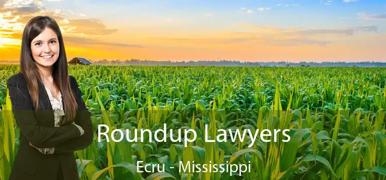 Roundup Lawyers Ecru - Mississippi