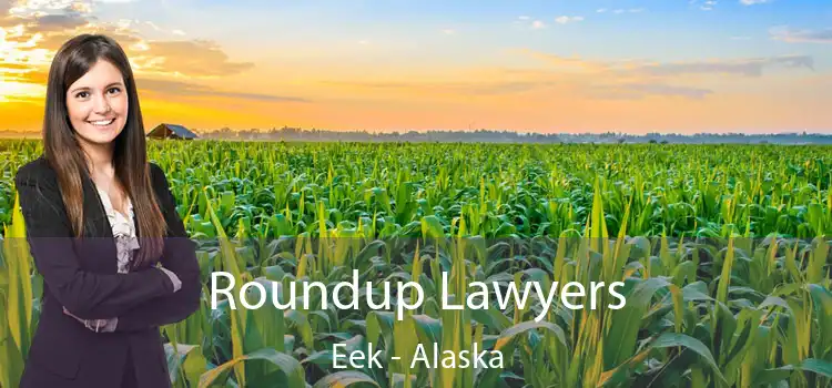 Roundup Lawyers Eek - Alaska