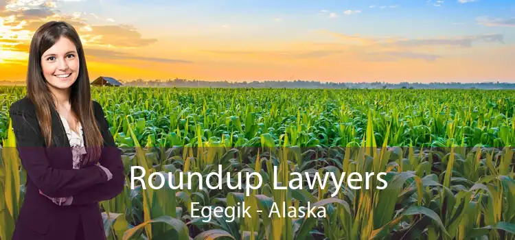 Roundup Lawyers Egegik - Alaska