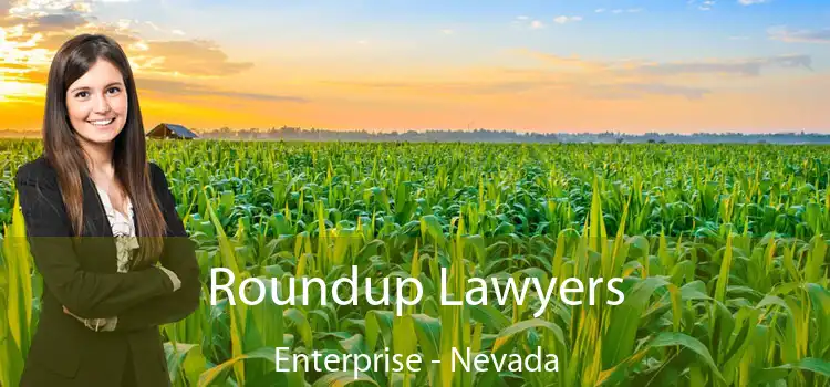 Roundup Lawyers Enterprise - Nevada