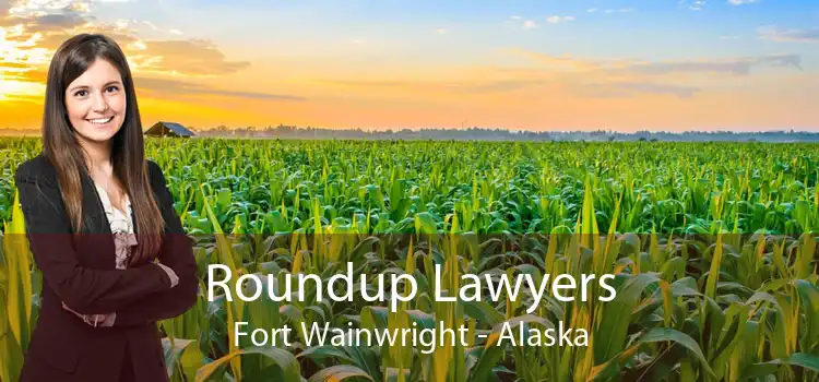 Roundup Lawyers Fort Wainwright - Alaska