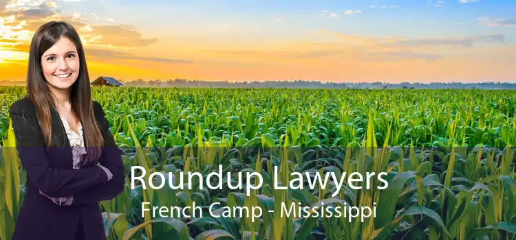 Roundup Lawyers French Camp - Mississippi