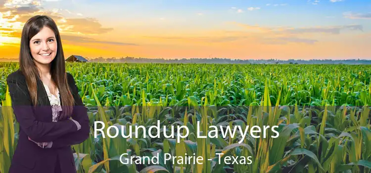 Roundup Lawyers Grand Prairie - Texas