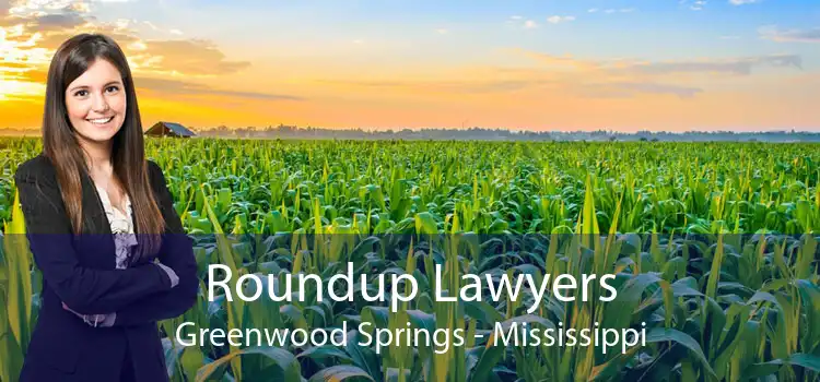 Roundup Lawyers Greenwood Springs - Mississippi