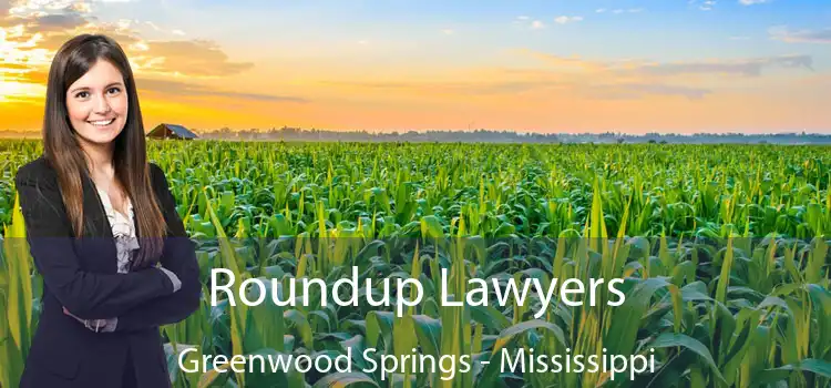 Roundup Lawyers Greenwood Springs - Mississippi