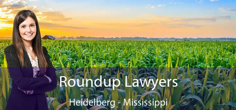 Roundup Lawyers Heidelberg - Mississippi