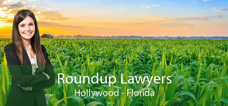 Roundup Lawyers Hollywood - Florida