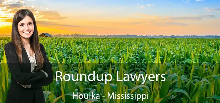 Roundup Lawyers Houlka - Mississippi