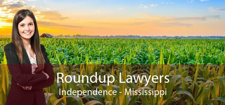 Roundup Lawyers Independence - Mississippi