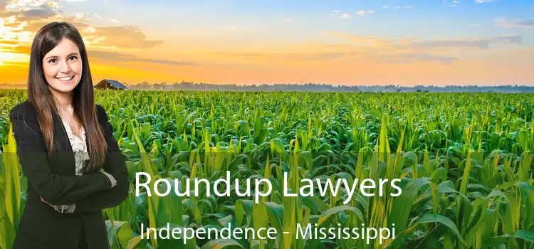 Roundup Lawyers Independence - Mississippi