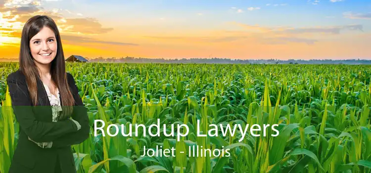 Roundup Lawyers Joliet - Illinois