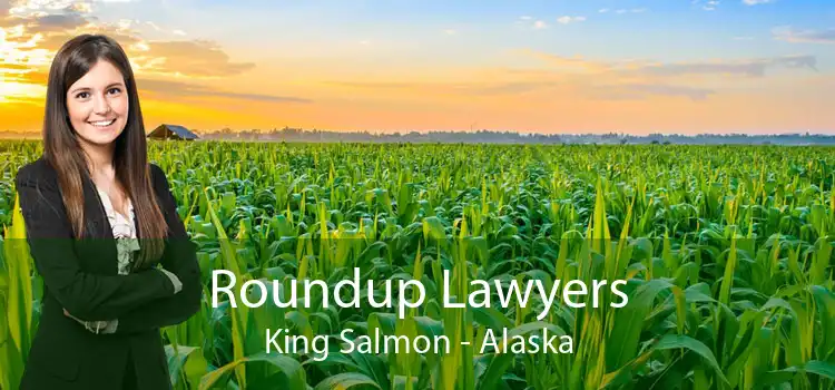 Roundup Lawyers King Salmon - Alaska