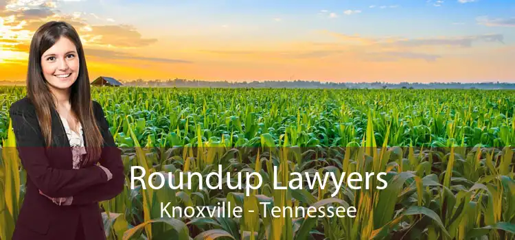 Roundup Lawyers Knoxville - Tennessee