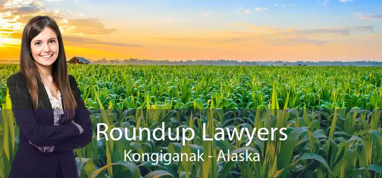 Roundup Lawyers Kongiganak - Alaska
