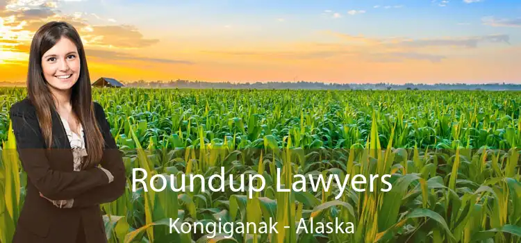 Roundup Lawyers Kongiganak - Alaska