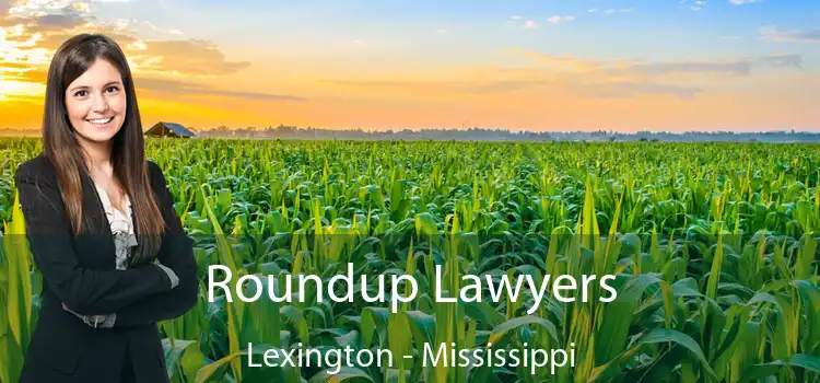 Roundup Lawyers Lexington - Mississippi