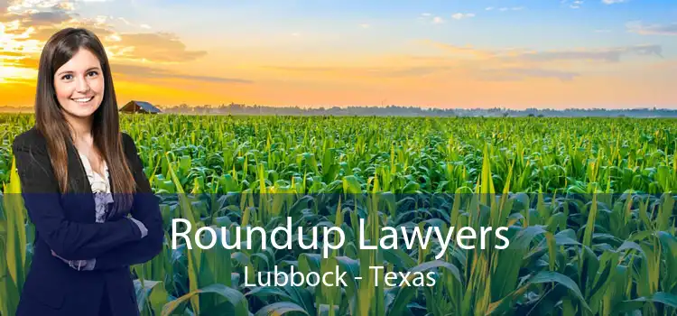 Roundup Lawyers Lubbock - Texas