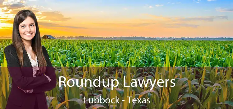 Roundup Lawyers Lubbock - Texas