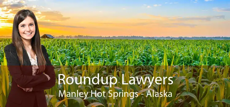 Roundup Lawyers Manley Hot Springs - Alaska