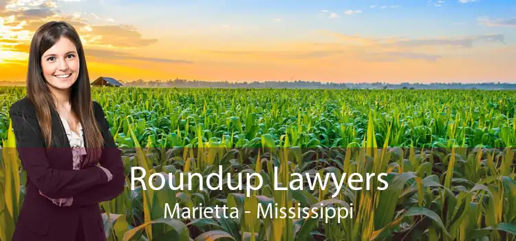 Roundup Lawyers Marietta - Mississippi