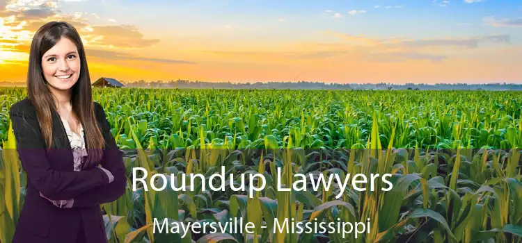 Roundup Lawyers Mayersville - Mississippi