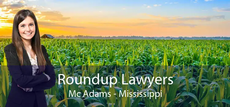 Roundup Lawyers Mc Adams - Mississippi