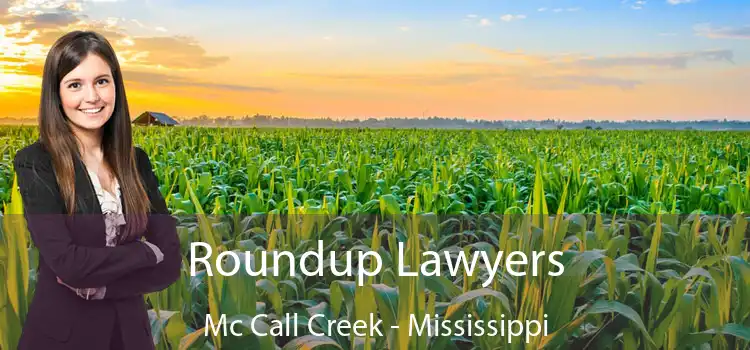 Roundup Lawyers Mc Call Creek - Mississippi