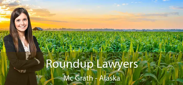 Roundup Lawyers Mc Grath - Alaska