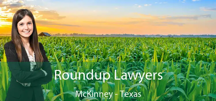 Roundup Lawyers McKinney - Texas