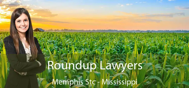 Roundup Lawyers Memphis Stc - Mississippi