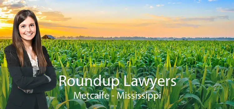 Roundup Lawyers Metcalfe - Mississippi