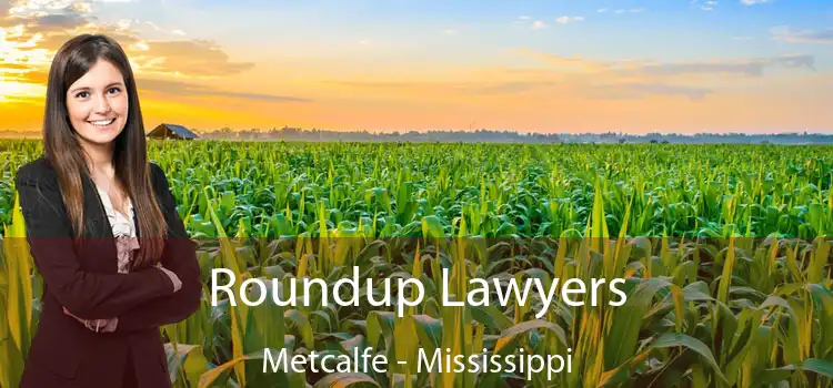 Roundup Lawyers Metcalfe - Mississippi