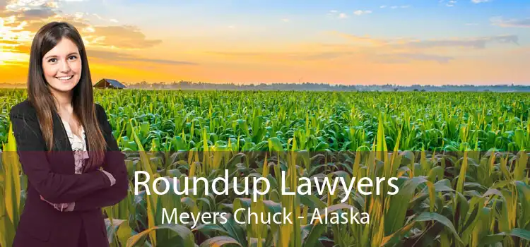 Roundup Lawyers Meyers Chuck - Alaska